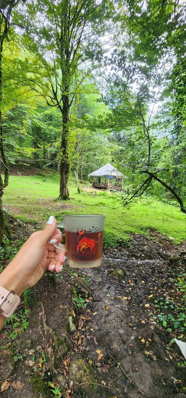 دایان افرود