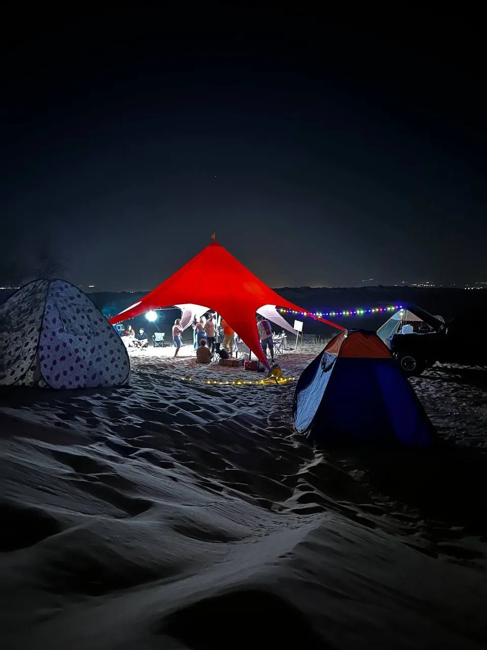 دایان افرود